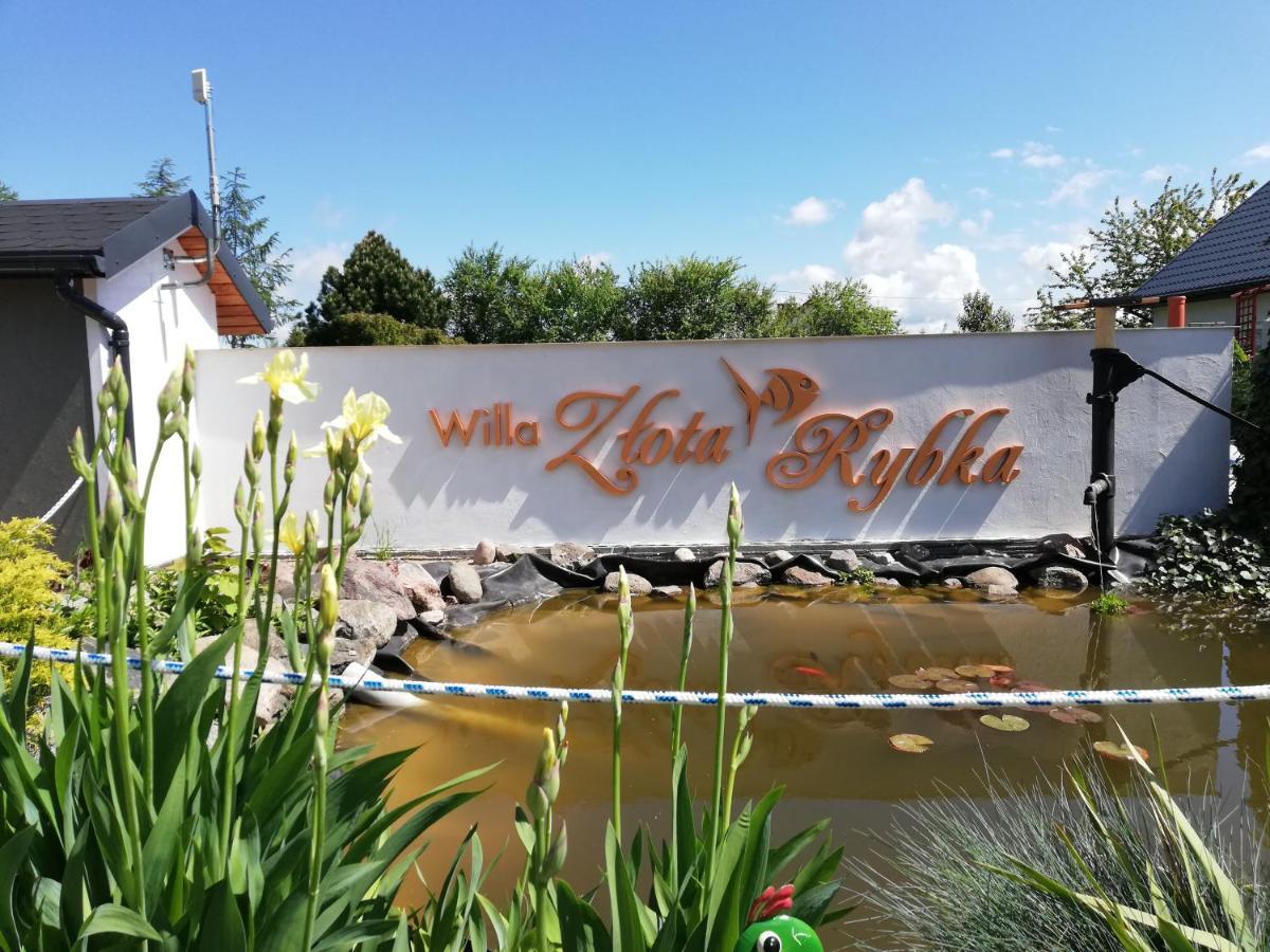 Zlota Rybka Apartment *